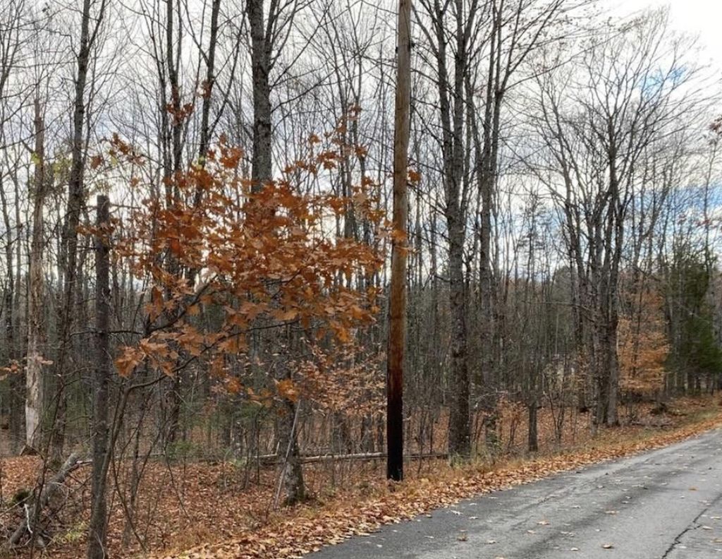 Photo of Lot 18 Shore Road, Dexter, ME 04930 (MLS # 1641967)