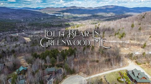 Photo of Lot 14 Bear Lane, Greenwood, ME 04255 (MLS # 1660308)