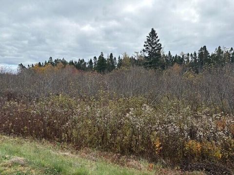 Photo of 0 Boot Cove Road, Lubec, ME 04652 (MLS # 1659481)