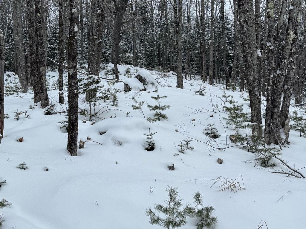 Photo of M29 L75 Ellsworth Road, Blue Hill, ME 04614 (MLS # 1649251)