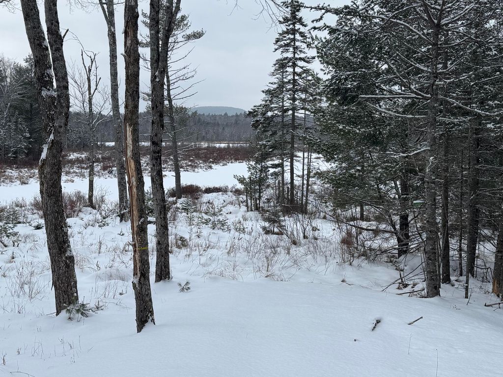 Photo of M29 L75 Ellsworth Road, Blue Hill, ME 04614 (MLS # 1649251)