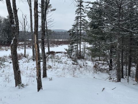 Photo of M029-L075 Ellsworth Road Road, Blue Hill, ME 04614 (MLS # 1649251)
