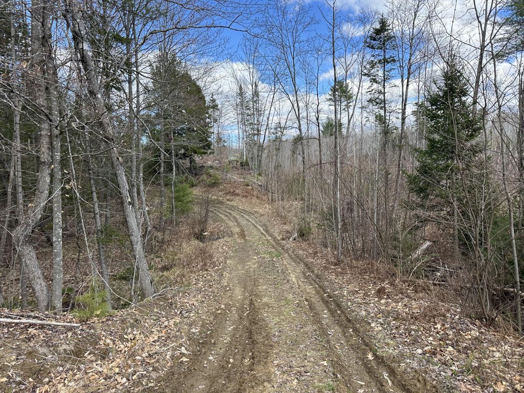 Photo of M3 L23-3 Ward Hill Road, Norridgewock, ME 04957 (MLS # 1660537)