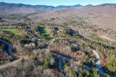 Photo of Lot 35 Trillium Drive, Newry, ME 04261 (MLS # 1619335)