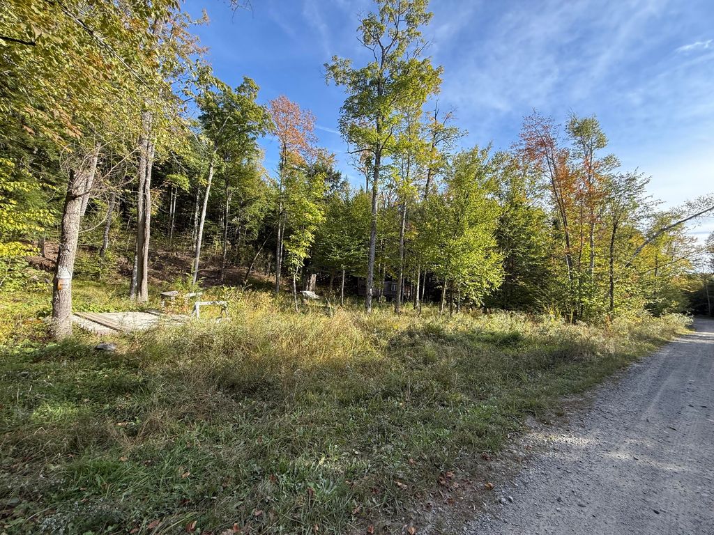Photo of 78 Cyrs Siding Road, Saint Albans, ME 04971 (MLS # 1639191)