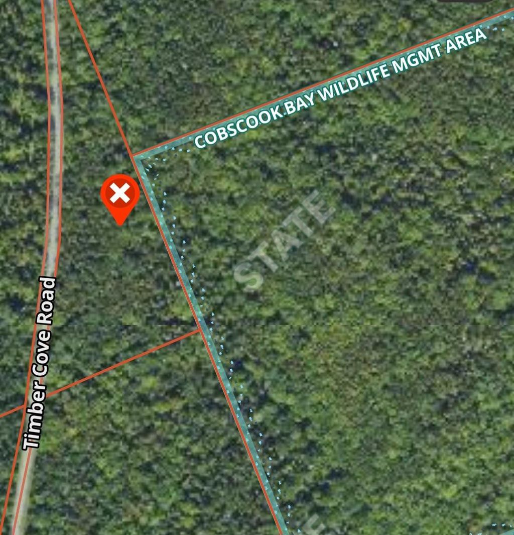 Photo of WA032 01 4 Timber Cove Road, Trescott Twp, ME 04652 (MLS # 1653647)