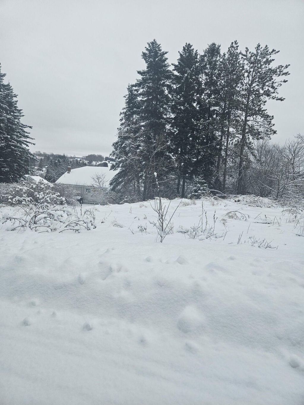 Photo of 34 High Street, Limestone, ME 04750 (MLS # 1647366)