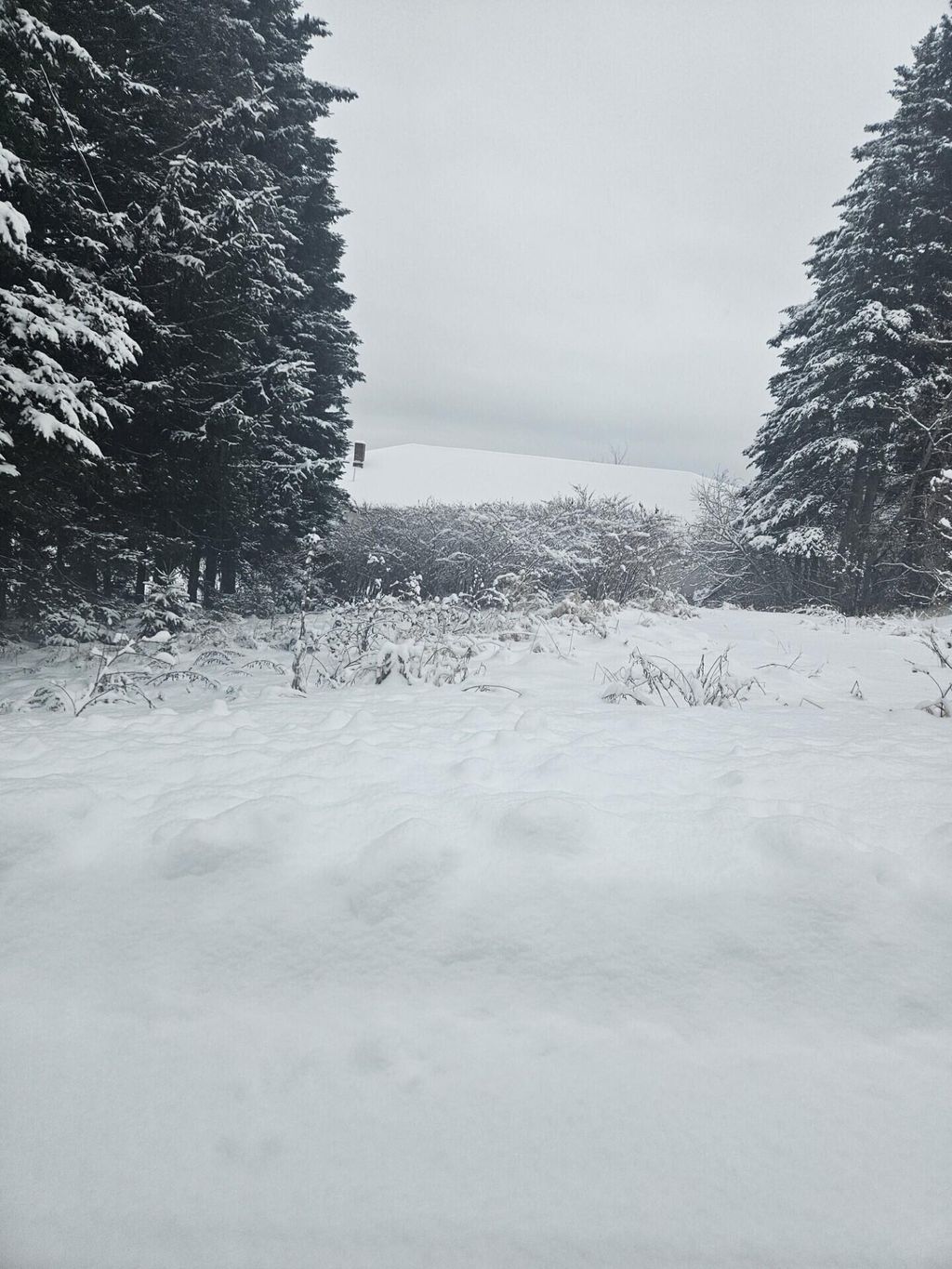 Photo of 34 High Street, Limestone, ME 04750 (MLS # 1647366)