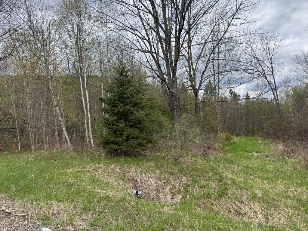 Photo of 00 State hwy 150, Parkman, ME 04443 (MLS # 1661608)