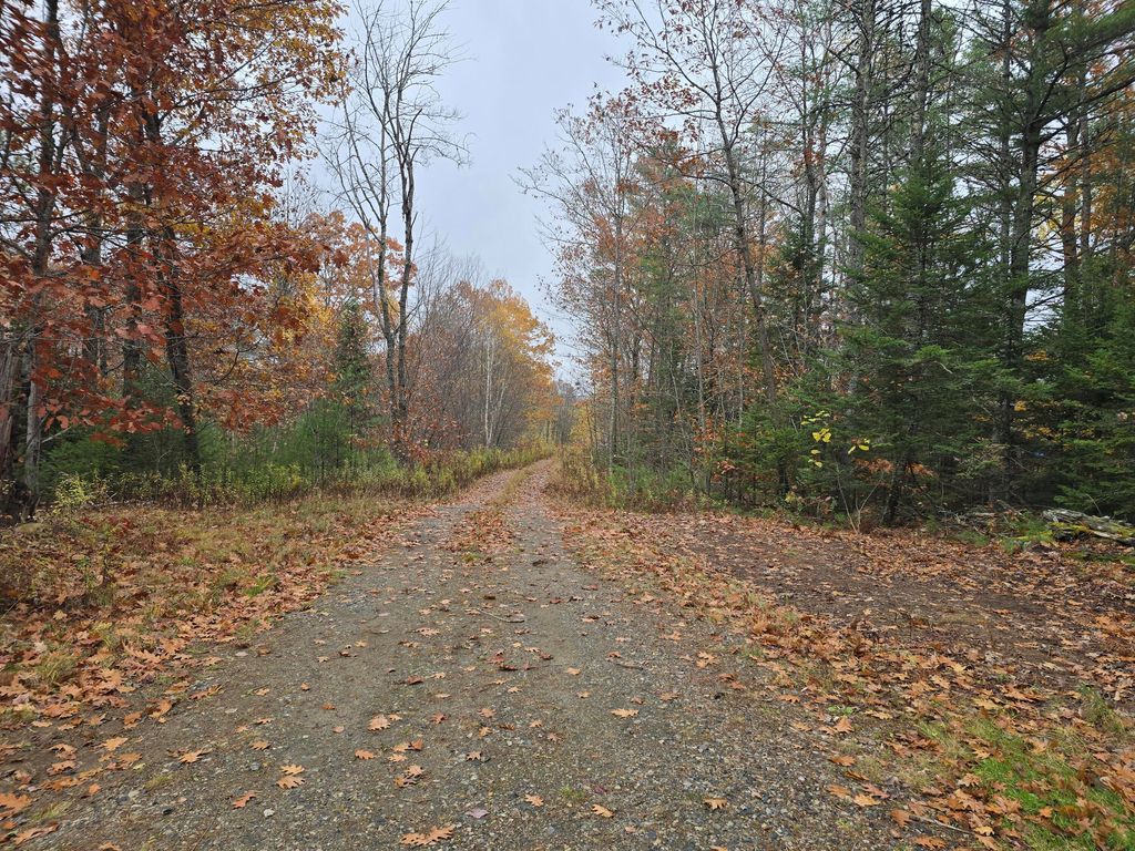 Photo of 00 W Alna Road, Alna, ME 04535 (MLS # 1642542)