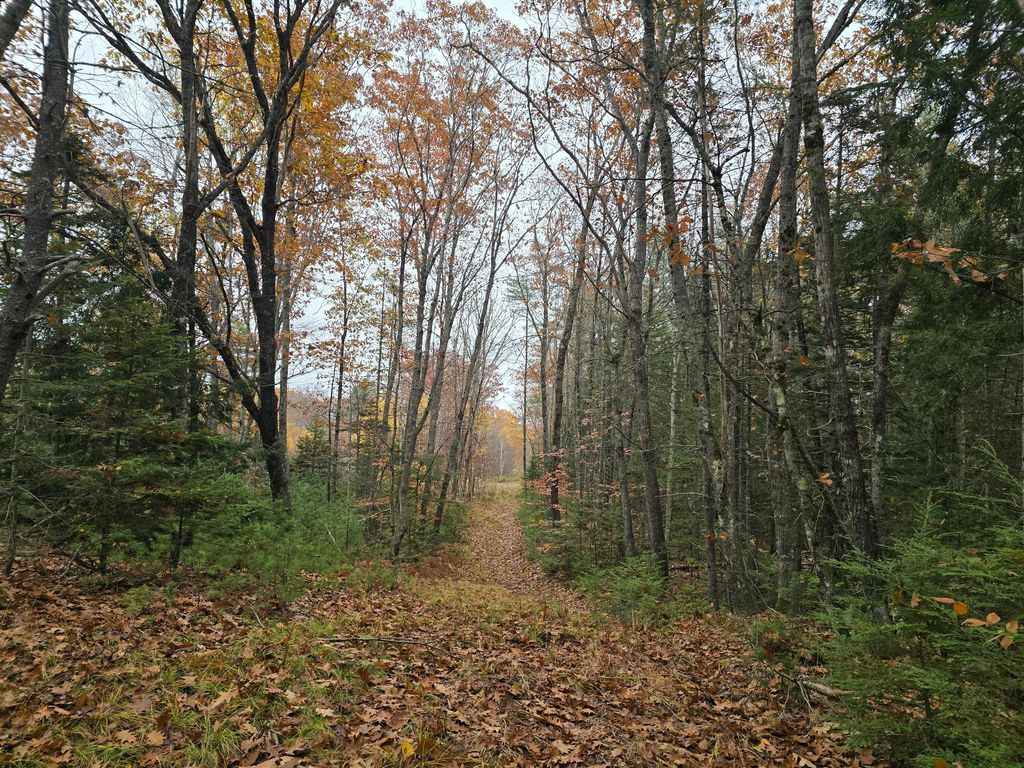 Photo of 00 W Alna Road, Alna, ME 04535 (MLS # 1642542)