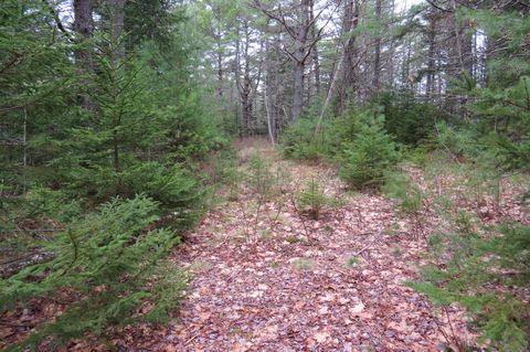 Photo of 23 Porcupine Road, Sullivan, ME 04664 (MLS # 1661250)