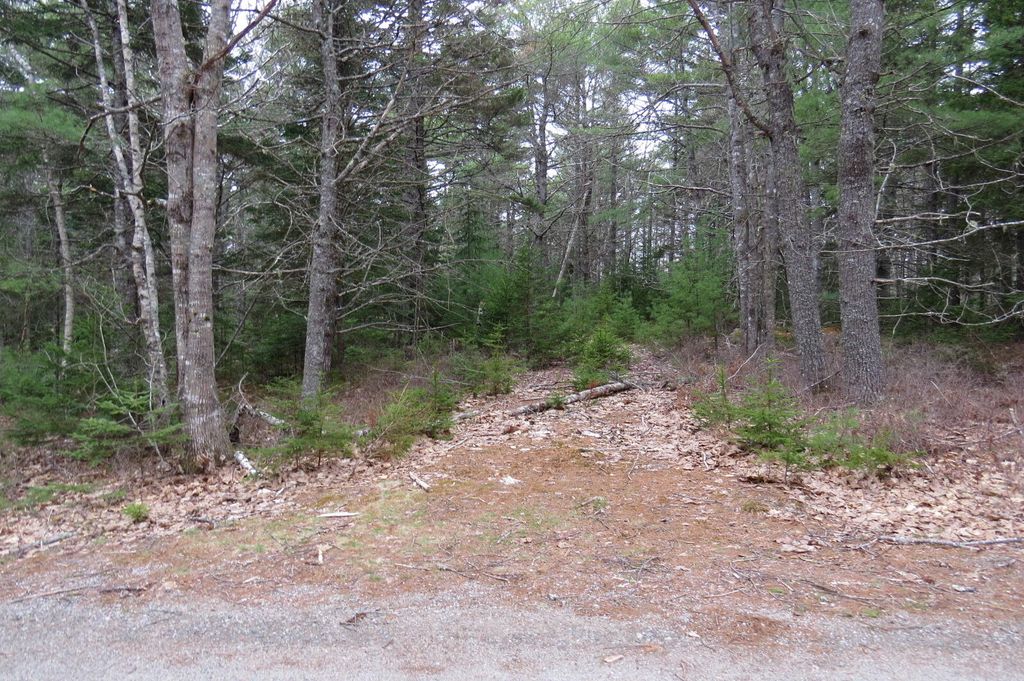 Photo of 23 Porcupine Road, Sullivan, ME 04664 (MLS # 1661250)