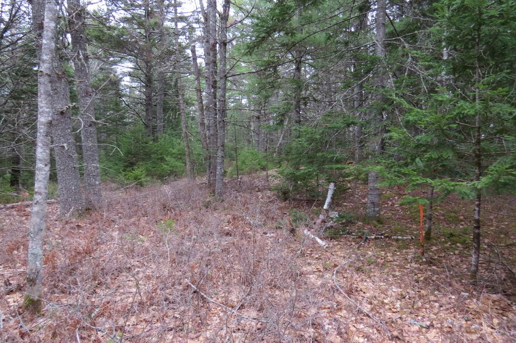 Photo of 23 Porcupine Road, Sullivan, ME 04664 (MLS # 1661250)