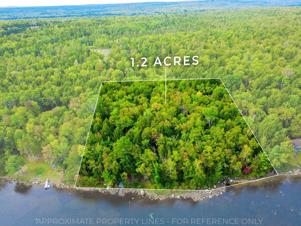 Photo of 21 Mattaseunk Road, Molunkus Twp, ME 04451 (MLS # 1639346)