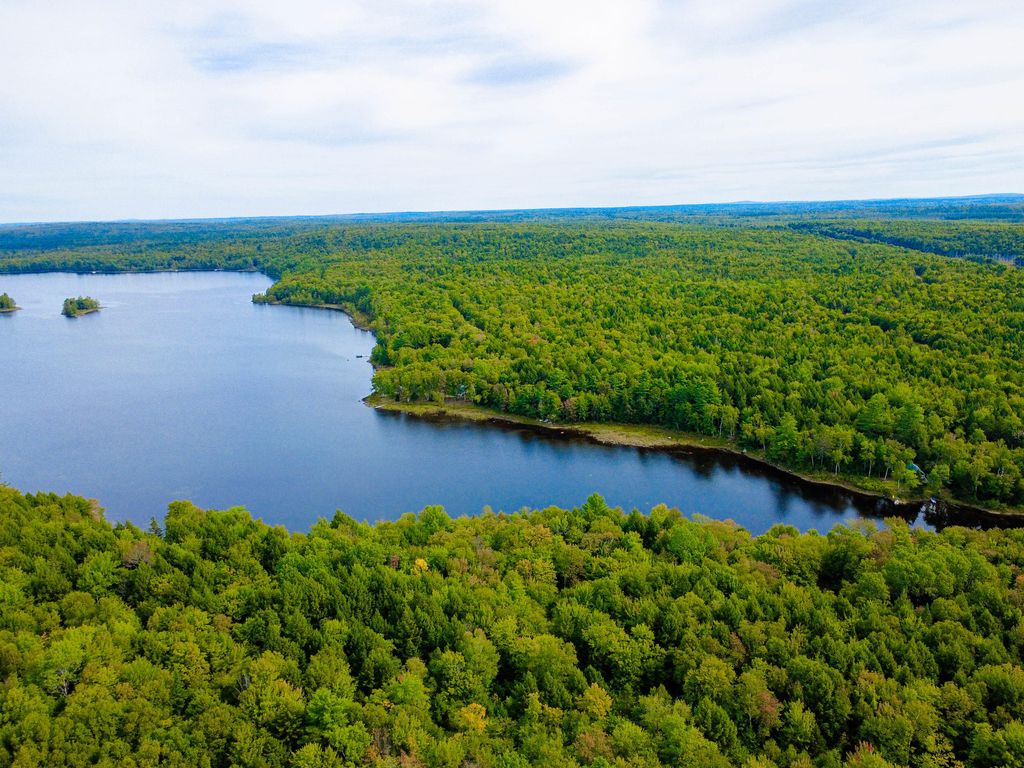Photo of 21 Mattaseunk Road, Molunkus Twp, ME 04451 (MLS # 1639346)