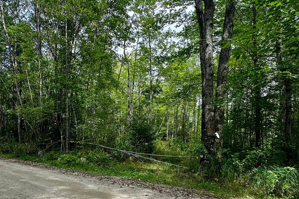 Photo of 00 Spiritwind Farm Road, Lebanon, ME 04027 (MLS # 1650210)
