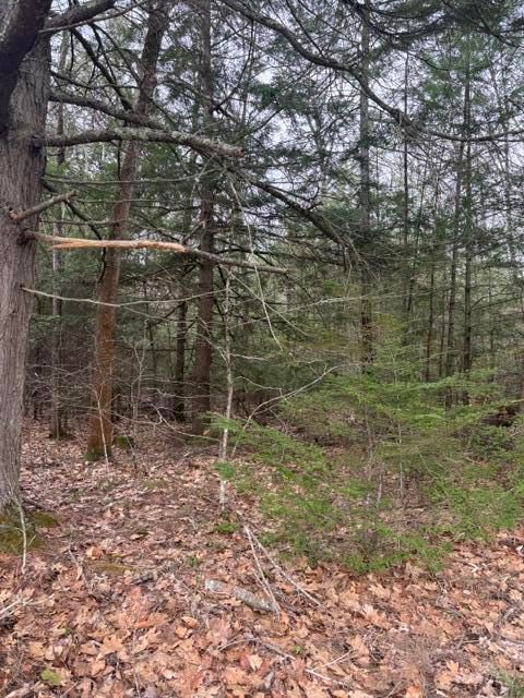 Photo of 0 Old North Road, West Gardiner, ME 04345 (MLS # 1660885)