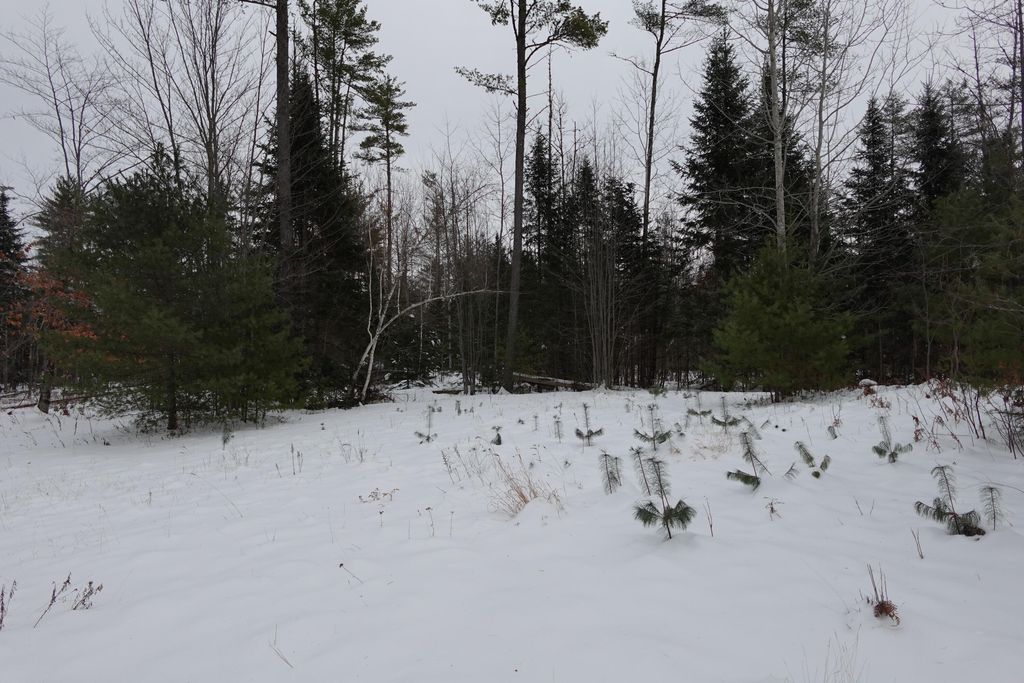 Photo of 012-013-01 Bert Berry road Road, Embden, ME 04958 (MLS # 1648782)