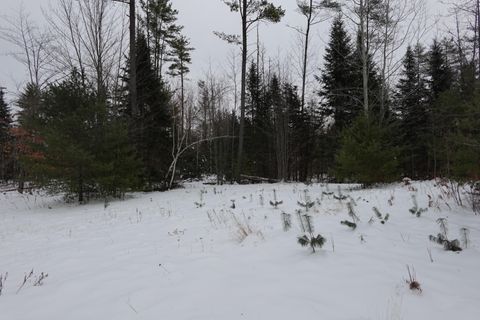 Photo of 012-013-01 Bert Berry road Road, Embden, ME 04958 (MLS # 1648782)