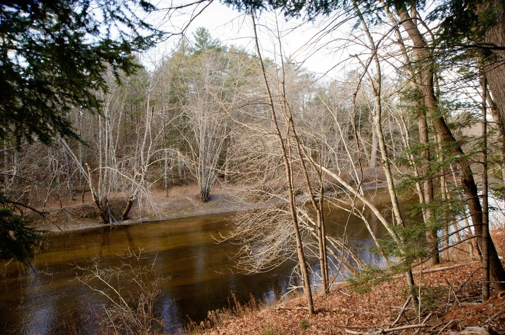 Photo of 131 Mechanic Falls Road, Oxford, ME 04270 (MLS # 1644475)