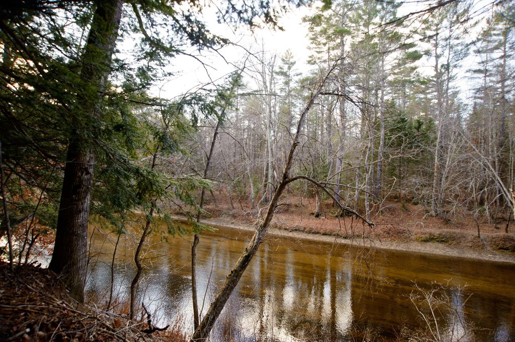 Photo of 131 Mechanic Falls Road, Oxford, ME 04270 (MLS # 1644475)