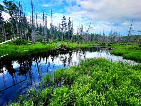 Photo of Lot 11 Morrison Brook Acres, Oakfield, ME 04763 (MLS # 1641960)