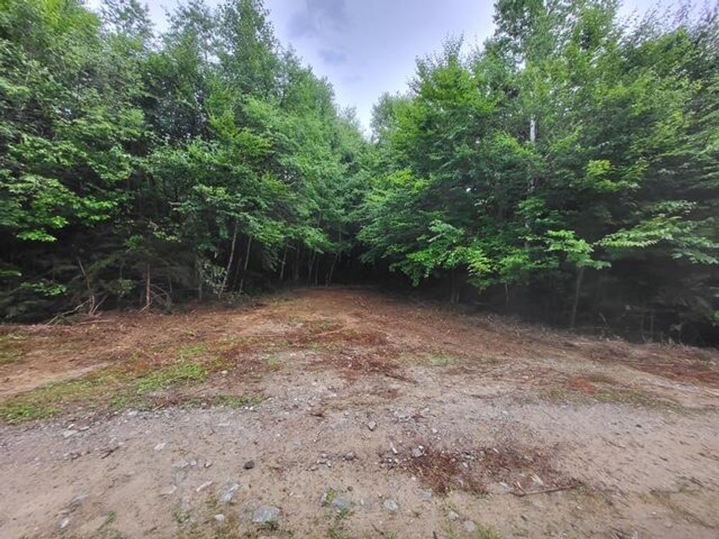 Photo of Lot 11 Morrison Brook Acres, Oakfield, ME 04763 (MLS # 1641960)