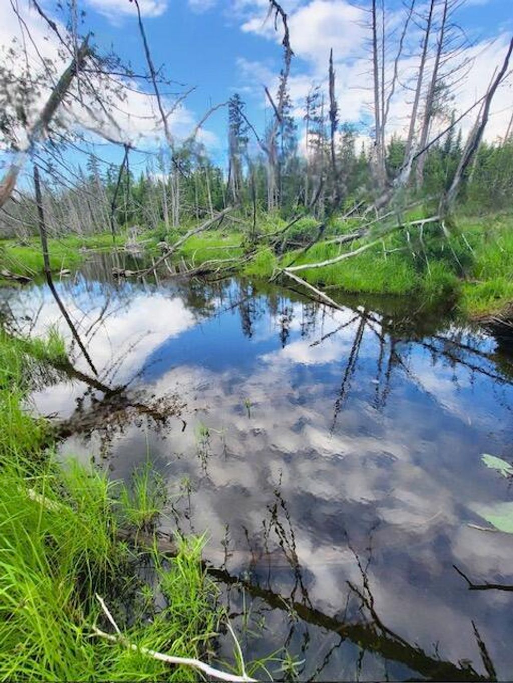 Photo of Lot 11 Morrison Brook Acres, Oakfield, ME 04763 (MLS # 1641960)
