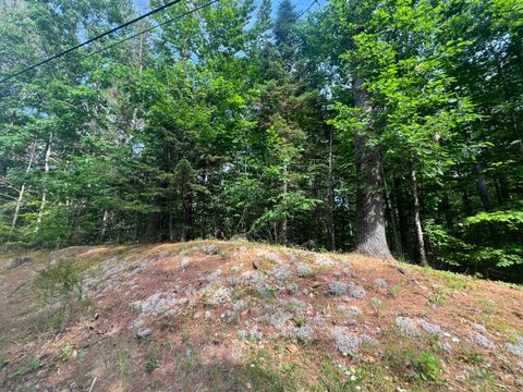 Photo of Lot #5 Intervale Road, Bethel, ME 04217 (MLS # 1629002)