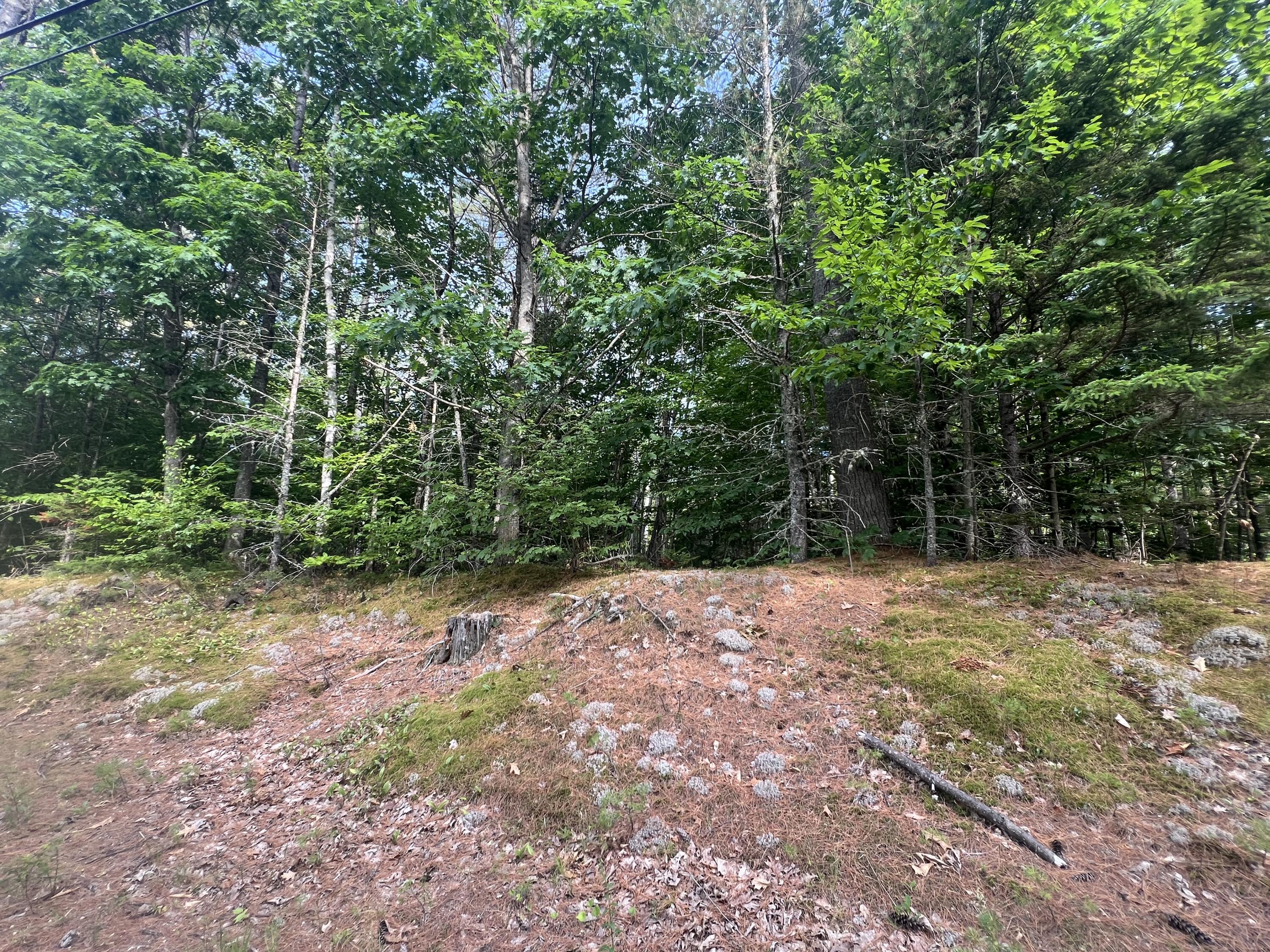 Lot #5 Intervale Road