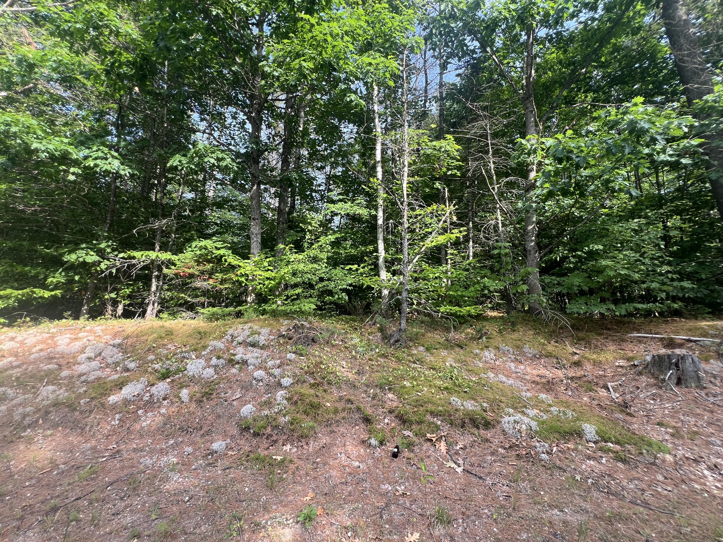 Lot #5 Intervale Road