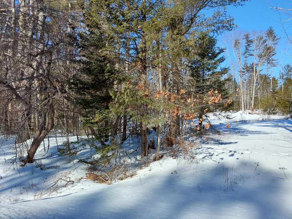 Photo of 111 Rockland Road, Jefferson, ME 04348 (MLS # 1652319)