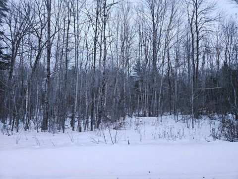 Photo of Lot 14-2,3 Perkins Road, Burnham, ME 04922 (MLS # 1651847)