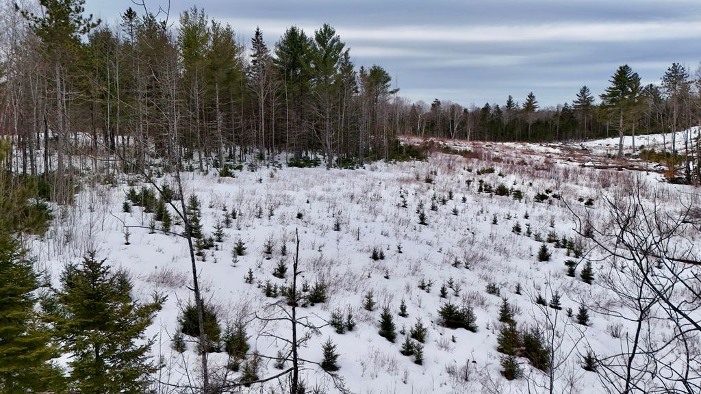 Photo of 151 N Guilford Road, Monson, ME 04464 (MLS # 1653946)