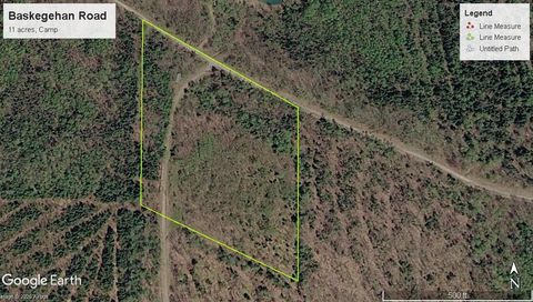 Photo of 0 Baskahegan Road, Bancroft, ME 04497 (MLS # 1651708)