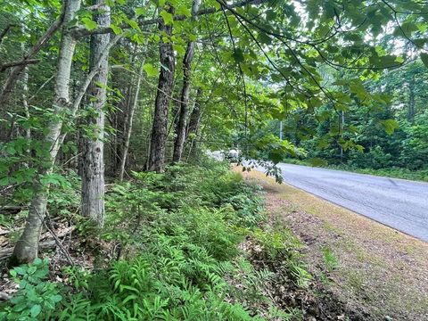 Photo of 80 Gammon Road, Peru, ME 04290 (MLS # 1631838)