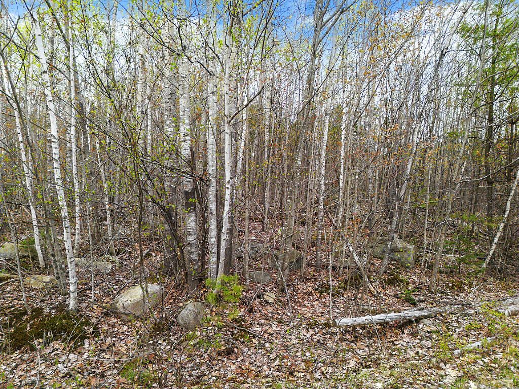 Photo of Lot #5 Murdock Place, Belgrade, ME 04917 (MLS # 1662138)