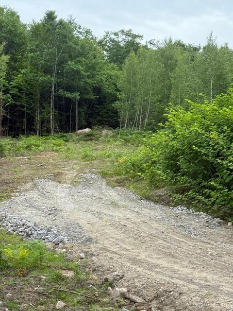 Photo of 0 Hawk Meadow Road, Waterford, ME 04088 (MLS # 1615700)