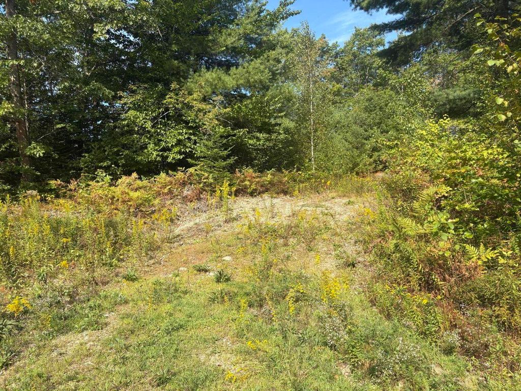 Photo of 27 Boulder Drive, Gray, ME 04039 (MLS # 1639469)