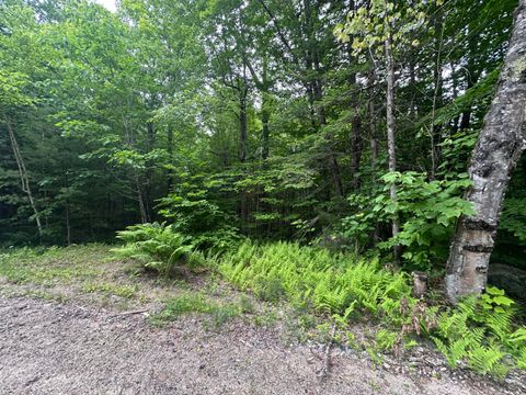 Photo of R13-023-B Hobbs Road, Greenwood, ME 04255 (MLS # 1627040)