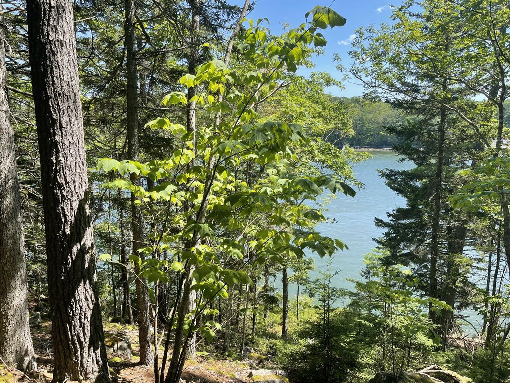 Photo of 13 Porcupine Lane, Westport Island, ME 04578 (MLS # 1642541)