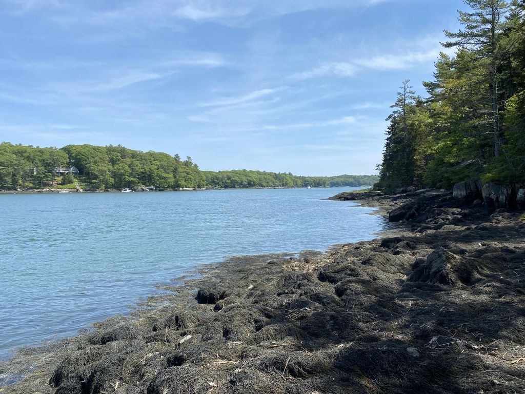 Photo of 13 Porcupine Lane, Westport Island, ME 04578 (MLS # 1642541)