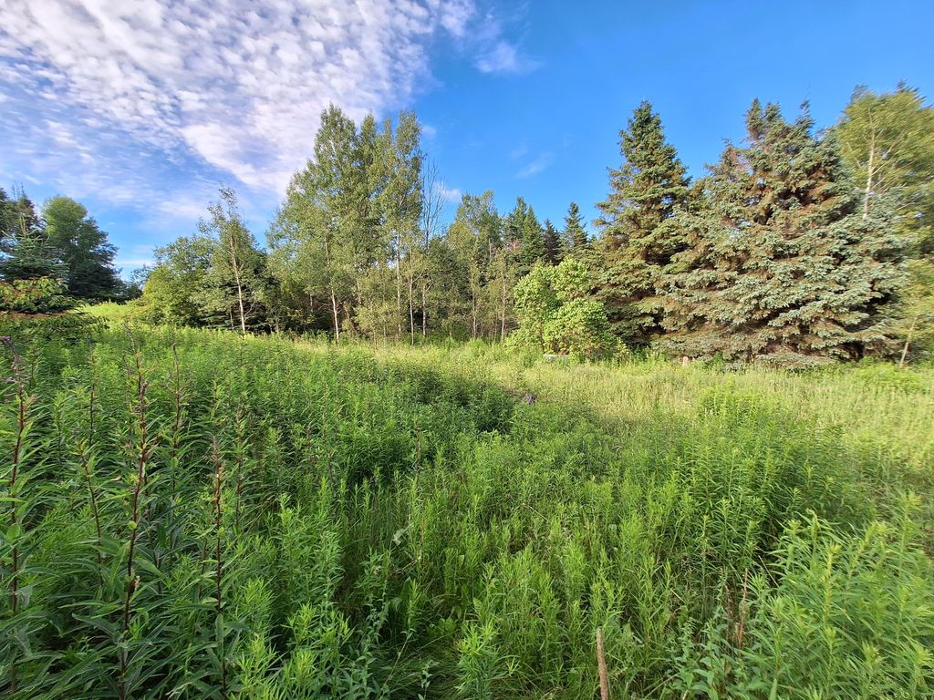 Photo of 296 W Ridge Road, Easton, ME 04740 (MLS # 1643389)