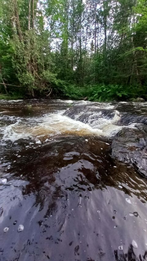 Photo of 0 Cedar Valley Drive, Hersey, ME 04747 (MLS # 1661721)