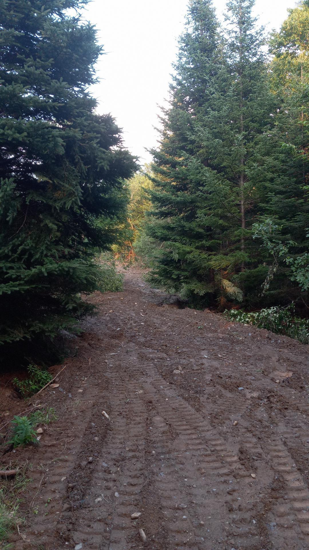 0 Cedar Valley Drive
