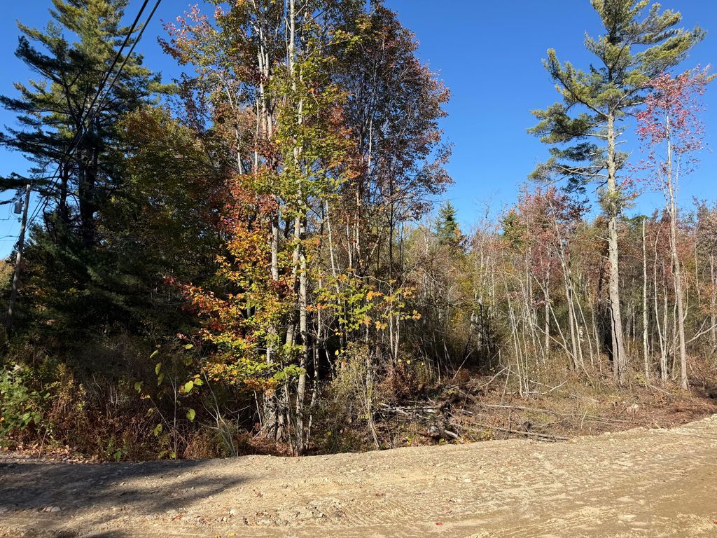 Photo of Lot B &amp; C Cape Road, Limington, ME 04049 (MLS # 1641428)