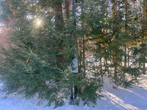 Photo of TBD Sodom Road, Norway, ME 04268 (MLS # 1646498)