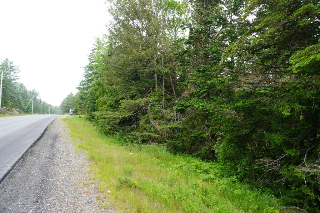 Photo of Lot 66 S River Road, Edmunds Twp, ME 04628 (MLS # 1650018)