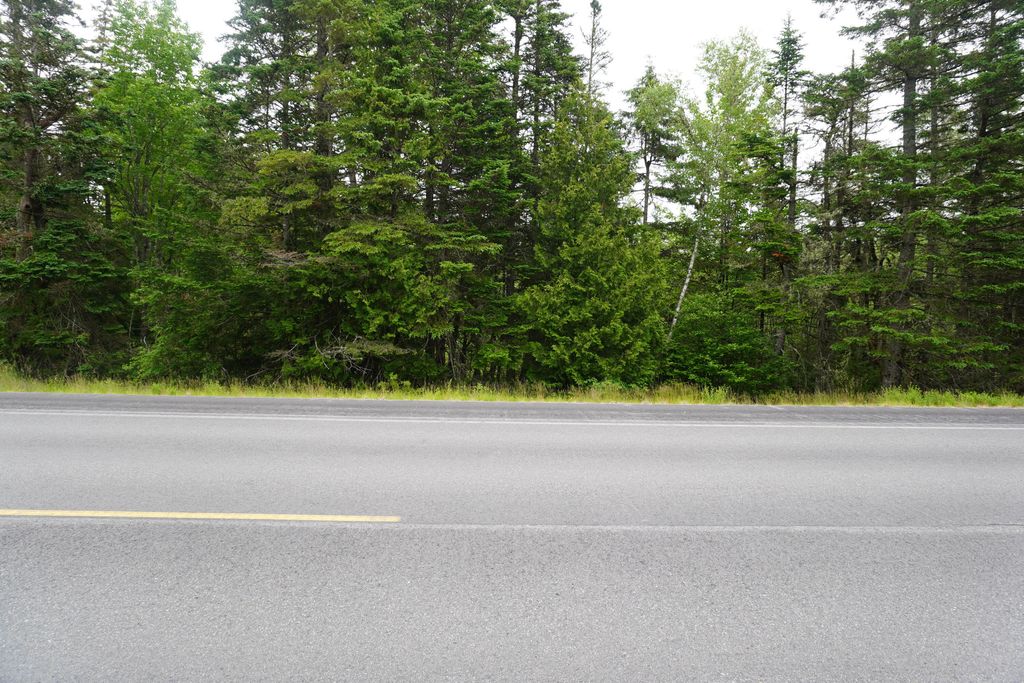 Photo of Lot 66 S River Road, Edmunds Twp, ME 04628 (MLS # 1650018)